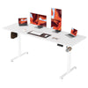 170*60cm / White Frame+ White Desktop