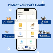 NFC & QR Smart Pet ID Tag – 6 Colours