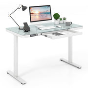 Electric Standing Desk with Drawer, Height Adjustable Desk with Whole Piece Tempered Glass Top, Sit Stand Desk with 2 Memory Positions & USB Type-C Outlets for Home Office 120x60 cm