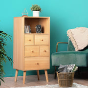 5-Drawer Storage Cabinet with Display Shelf