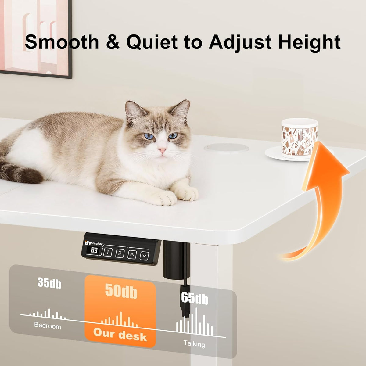 Electric Sit-Stand Desk – 80–170cm Desktop Options