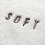 Large Area Rugs for Living Room, Ultra Soft Indoor Modern Fluffy Bedroom Carpets, Washable Furry Throw Rugs Area Carpets for Children Bedroom Home Decor Nursery Rug (White,140 x 200 CM)