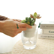4-Pack 10 cm Self-Watering Plant Pots – Clear