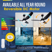 52 Inch Ceiling Fan with Light and Remote, Flush Mount Quiet Ceiling Fan with Dc Motor, Reversible Blades 6 Speeds 3 Colors Dimmable LED Ceiling Fan light for Living Room (220V-240V, 50Hz)