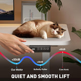 BilySen Electric Standing Desk 140x60cm (55.1"x23.6"), Height Adjustable Sit Stand Desk with Hooks, Metal Frame Stand up Desk with Powerful Motor, Ergonomic Computer Desk for Home Office (White)