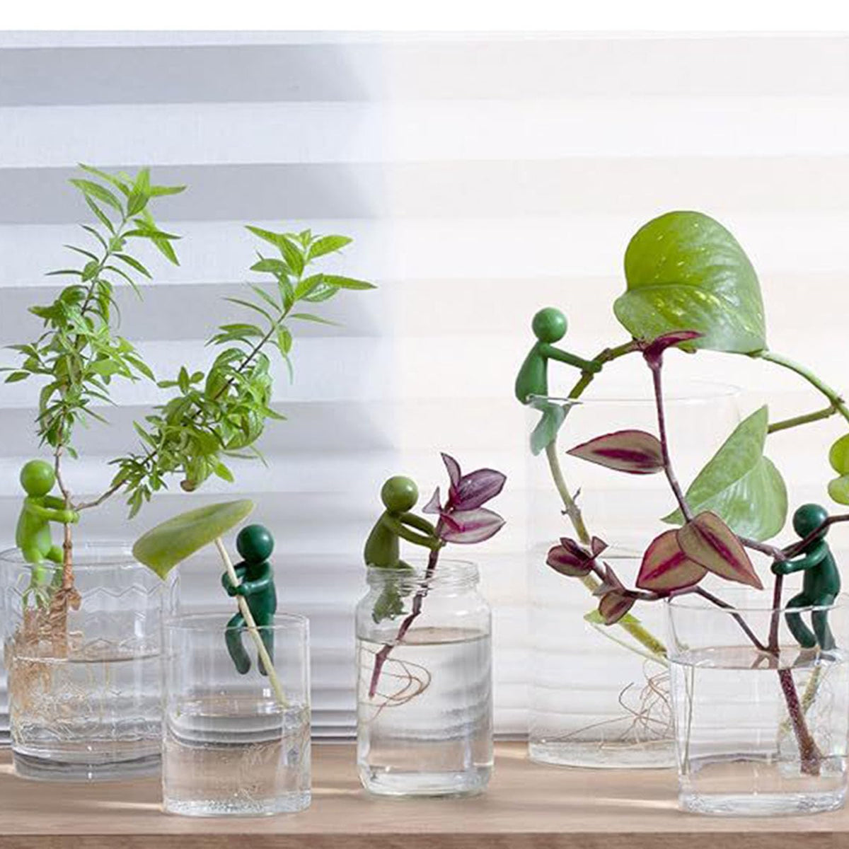6-Piece Plant Propagation Stem Support Buddies