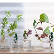 6-Piece Plant Propagation Stem Support Buddies
