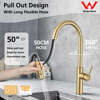 Brushed Gold 2-Mode Pull-Out Kitchen Mixer Tap