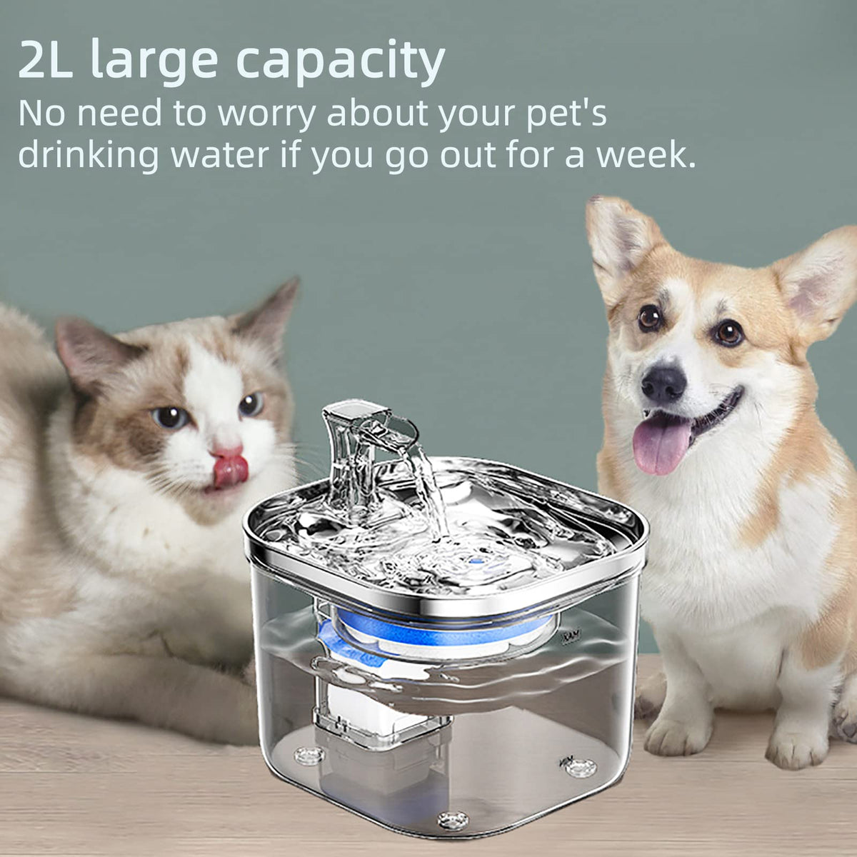 Pet Water Fountain 2L, 304 Stainless Steel Smart Pet Drinking Fountain, Ultra-Quiet and Circulating Water Filtration System for Cat Water Fountain
