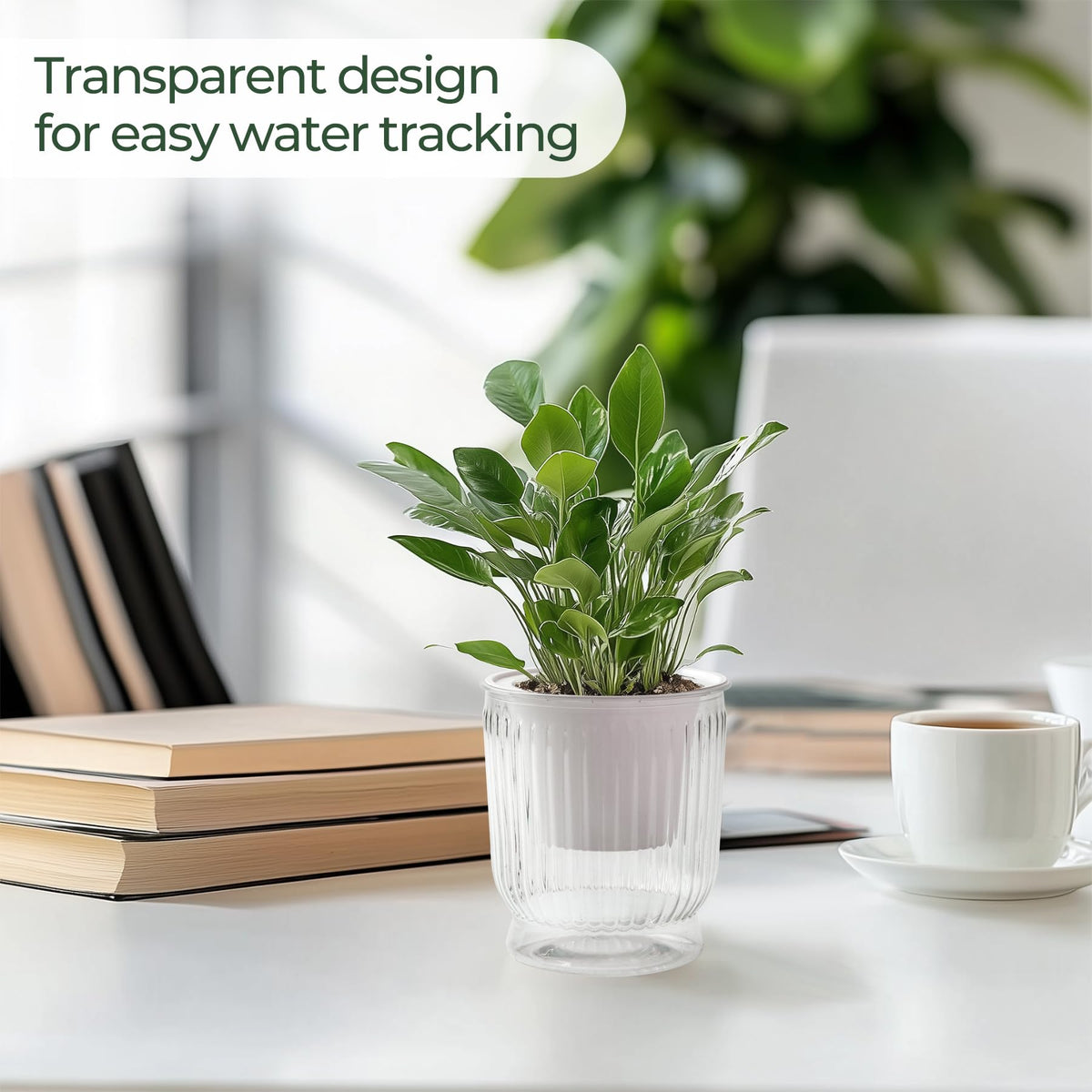 4-Pack 10 cm Self-Watering Plant Pots – Clear