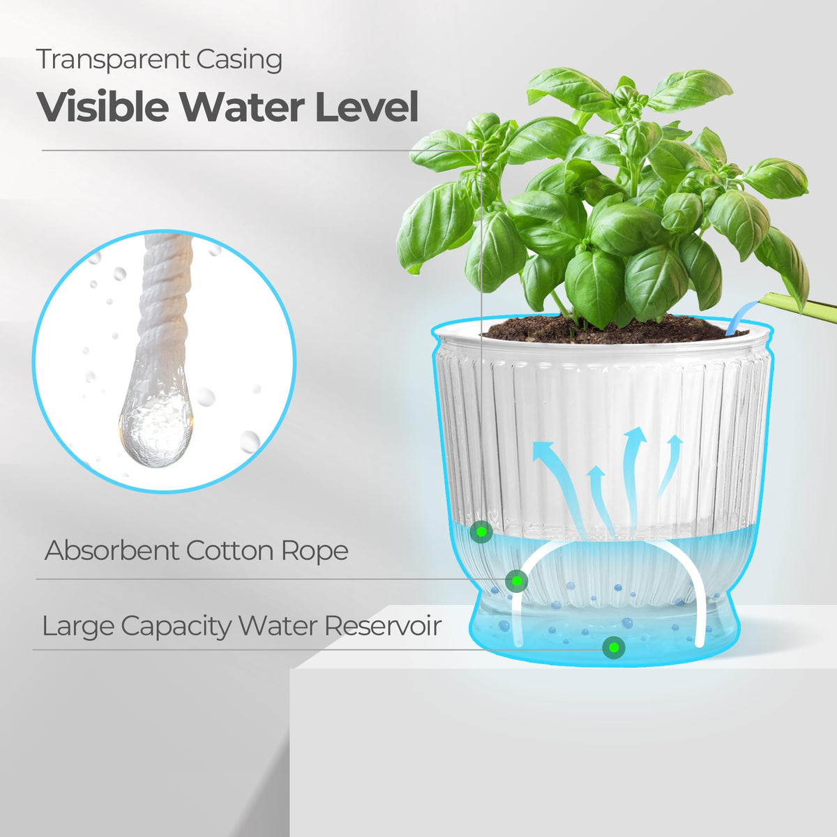 4-Pack 10 cm Self-Watering Plant Pots – Clear