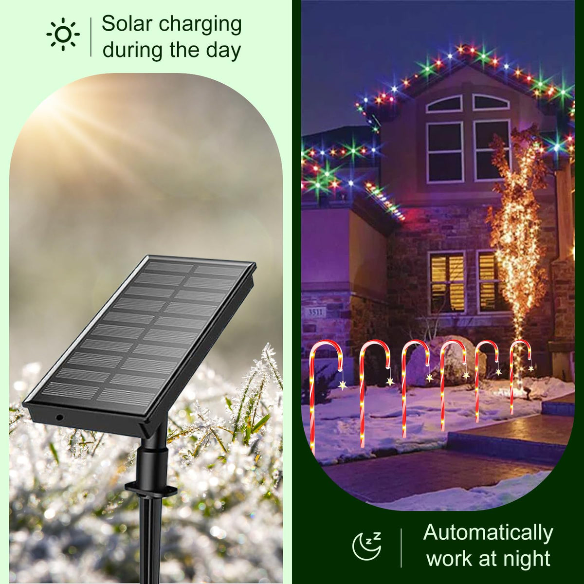 12-Pack Solar Candy Cane Path Lights – 72 LEDs & 8 Modes