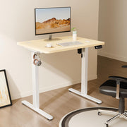 Electric Standing Desk 80x60cm (31"x23.6"), Height Adjustable Sit Stand Desk with Splice Board for Home Office, Computer Desk Memory Preset (White Frame + Golden Oak Desktop)