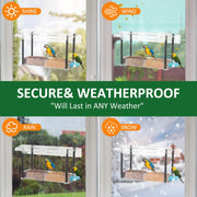 Clear Window Bird Feeder with Suction Cups & Water Tray