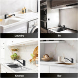 Decaura Laundry Sink Mixer Tap Swivel Spout Kitchen Sink Faucet (Matt Black)