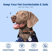 NFC & QR Smart Pet ID Tag – 6 Colours