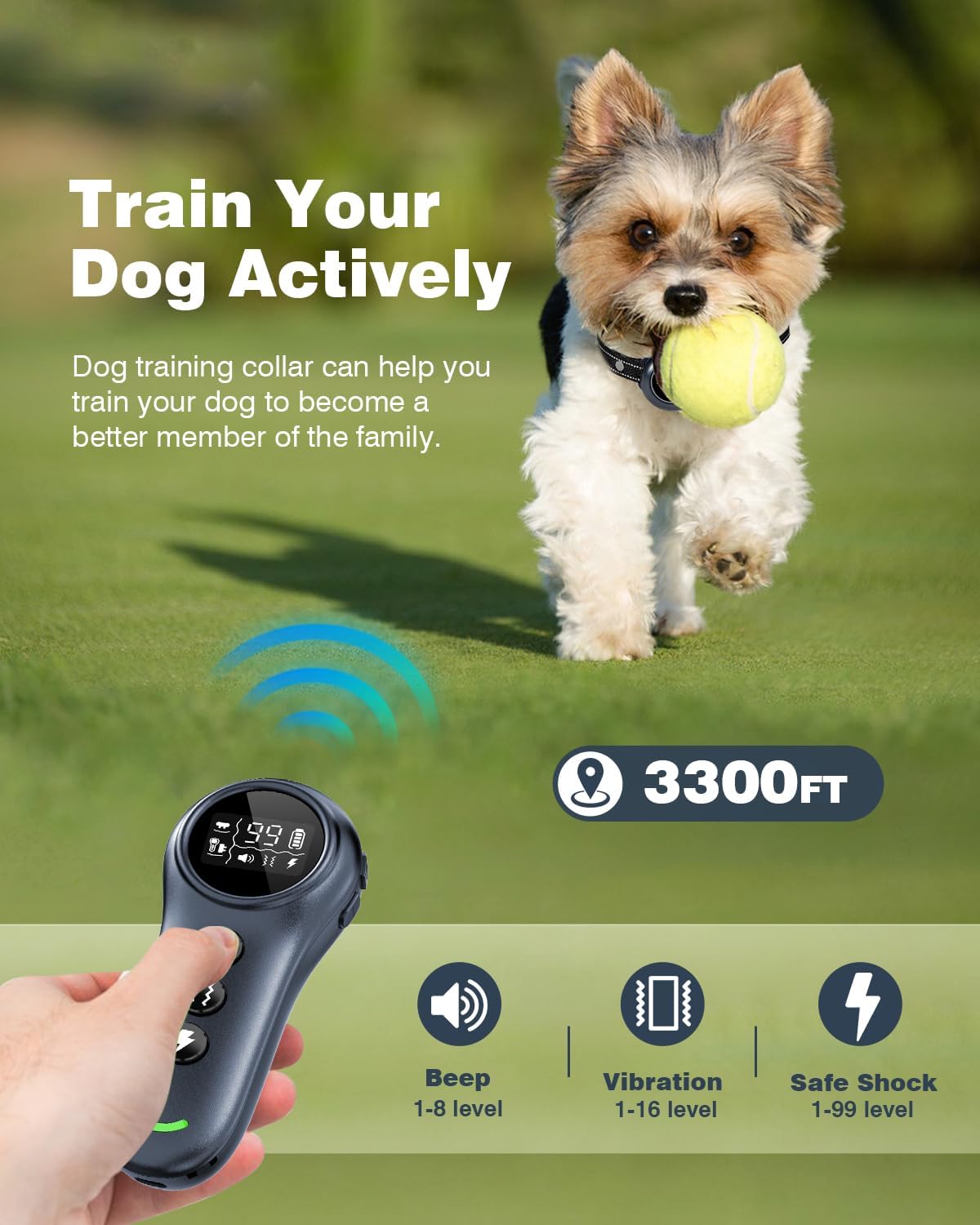 2-in-1 Dog Bark & Training Collar – 1000 m Remote & IP67