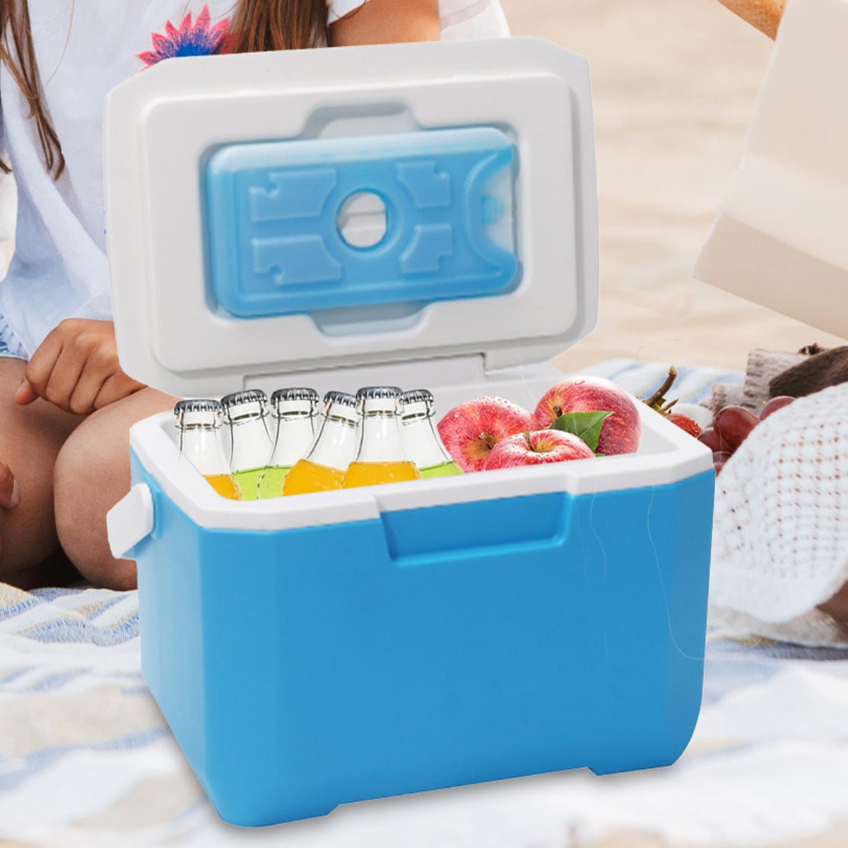 6 L Portable Cooler Box with Carry Handle