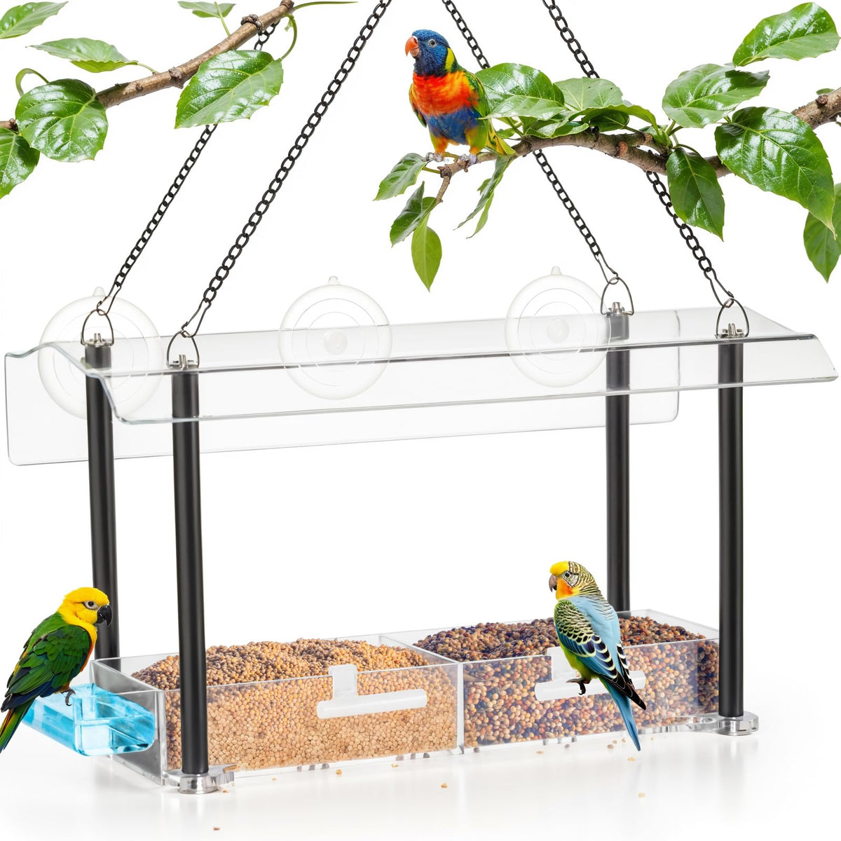Clear Window Bird Feeder with Suction Cups & Water Tray