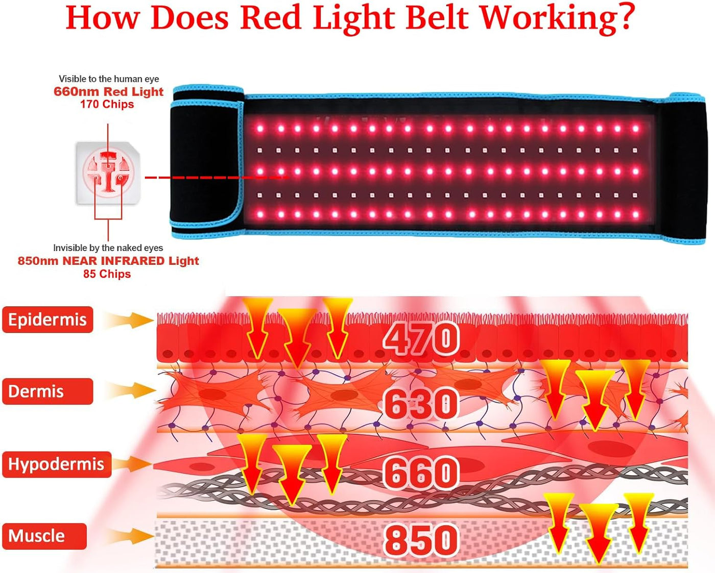 Red Light Belt, Infrared Red Light Pad for Body, Near Infrared Light Lamp for Waist Thighs Shoulder Back Muscle Adjustable & Portable for Office/Home Use, Large Size 120cm Length
