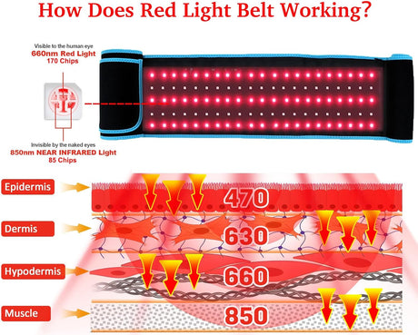 KitchEss Red Light Belt, Infrared Red Light Pad for Body, Near Infrared Light Lamp for Waist Thighs Shoulder Back Muscle Adjustable & Portable for Office/Home Use, Large Size 120cm Length