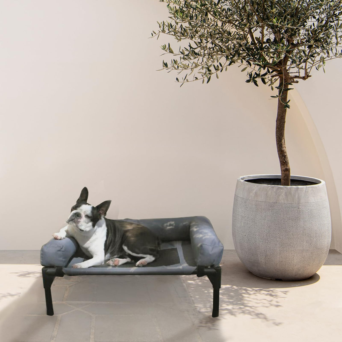 Small Elevated Pet Bed with Bolster – Grey, 62 × 46.5 × 26.7 cm