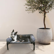 Small Elevated Pet Bed with Bolster – Grey, 62 × 46.5 × 26.7 cm