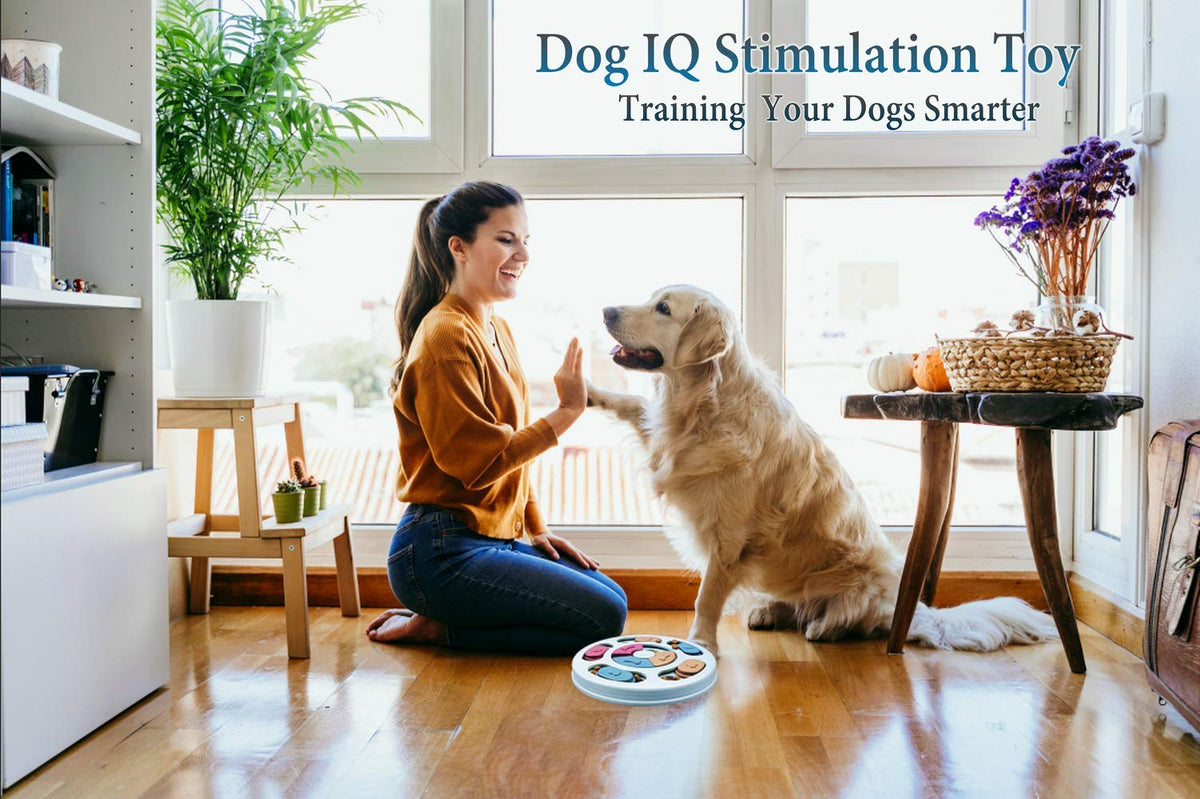 Interactive Sliding Dog Puzzle & Treat Feeder
