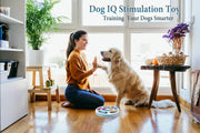 Interactive Sliding Dog Puzzle & Treat Feeder