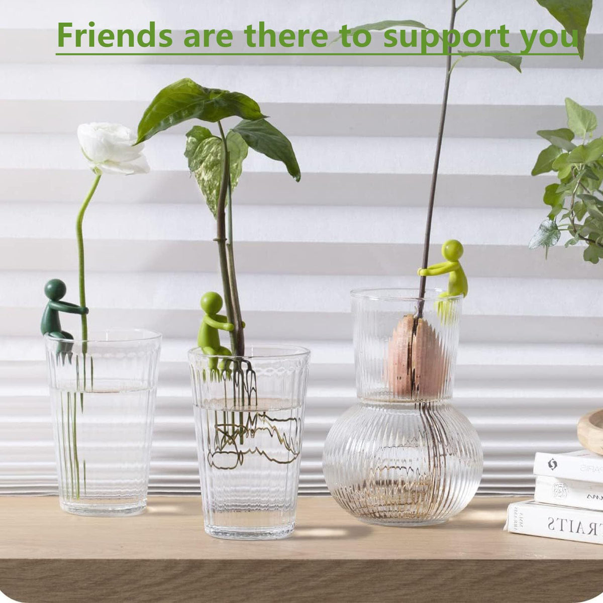 6-Piece Plant Propagation Stem Support Buddies