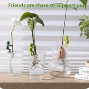 6-Piece Plant Propagation Stem Support Buddies