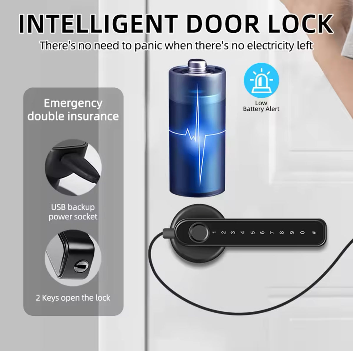 Fingerprint Door Lock/Smart Door knob/Biometric Door Lock with passcode keypad /APP Remote Control/Entry Door Handle