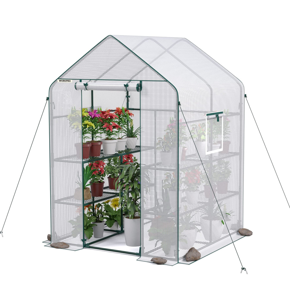 Greenhouse, 56” x 56” x 77” Heavy Duty Walk in Greenhouses for Outdoors with Screen Windows, Thicken PE Cover, 3 Tier 8 Shelves Portable Green House Kit for Patio, Backyard and Porch