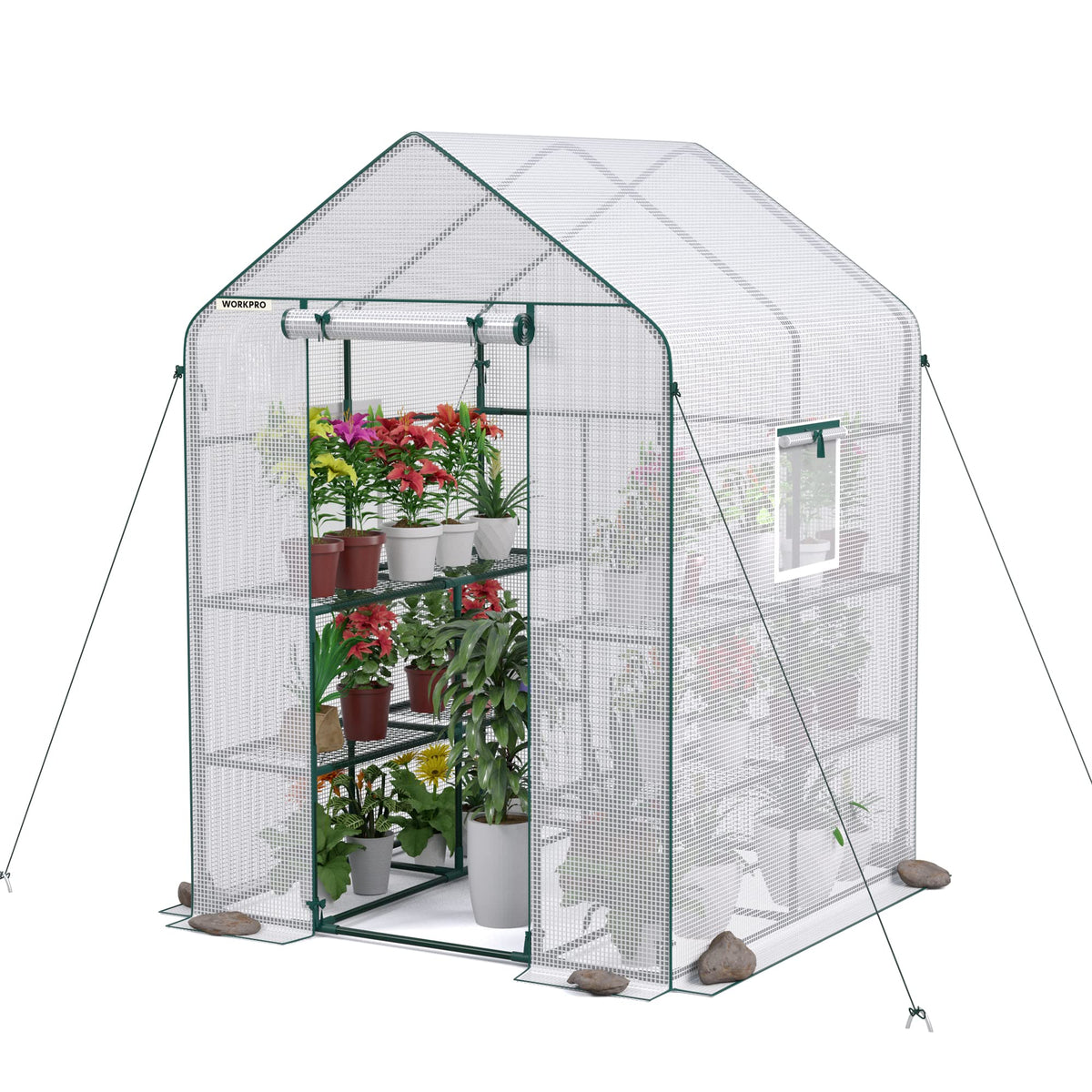 142 × 142 × 196 cm Walk-In Greenhouse with 8 Shelves