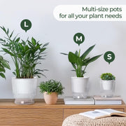 4-Pack 10 cm Self-Watering Plant Pots – Clear