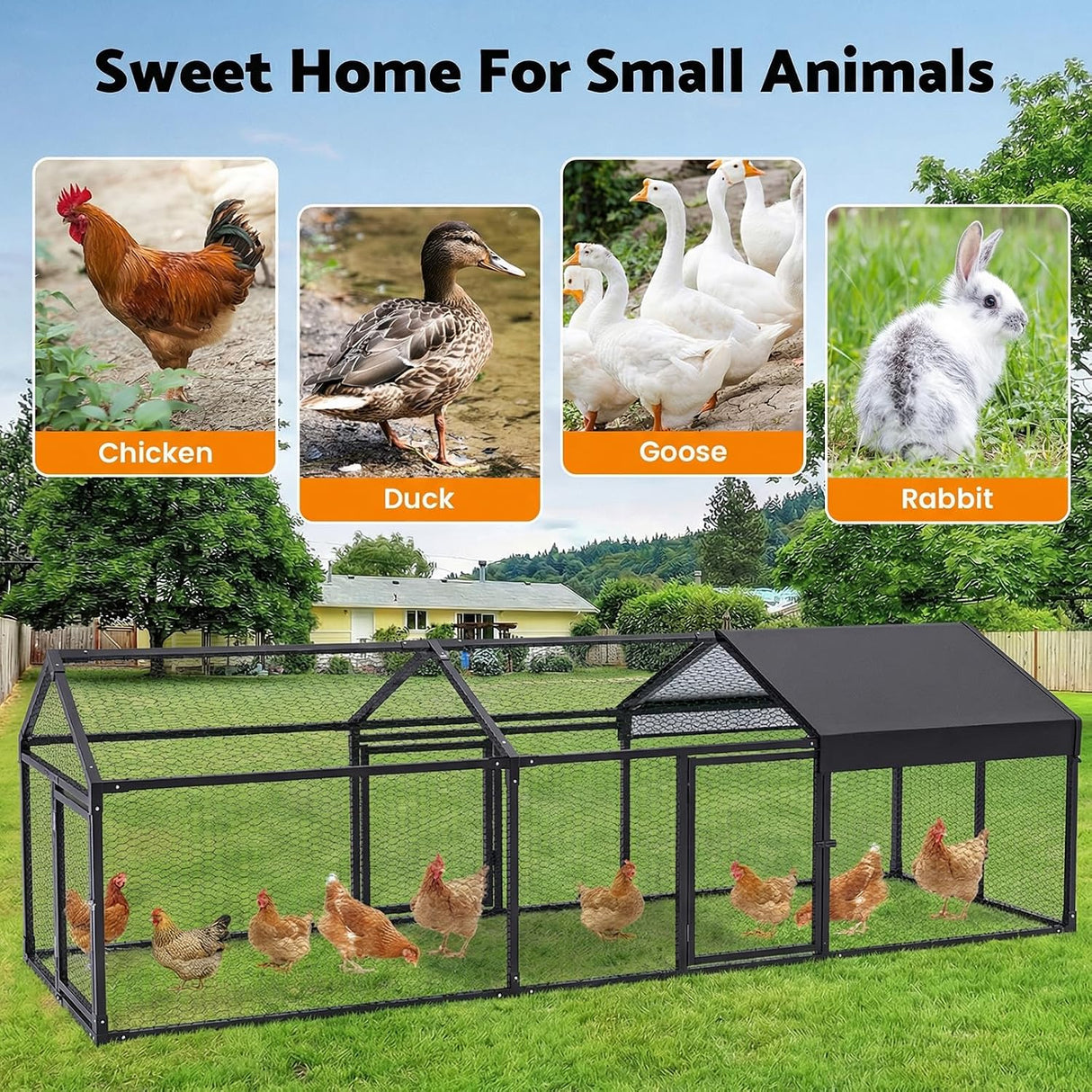 Chicken coop for backyard