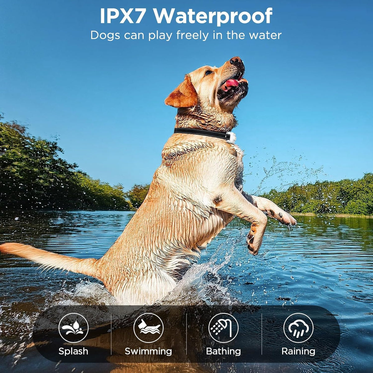 Remote Dog Training Collar with Beep, Vibration & Light – 3300ft