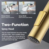Brushed Gold 2-Mode Pull-Out Kitchen Mixer Tap