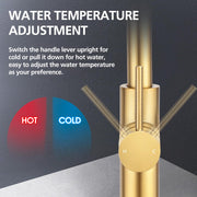 Brushed Gold 2-Mode Pull-Out Kitchen Mixer Tap