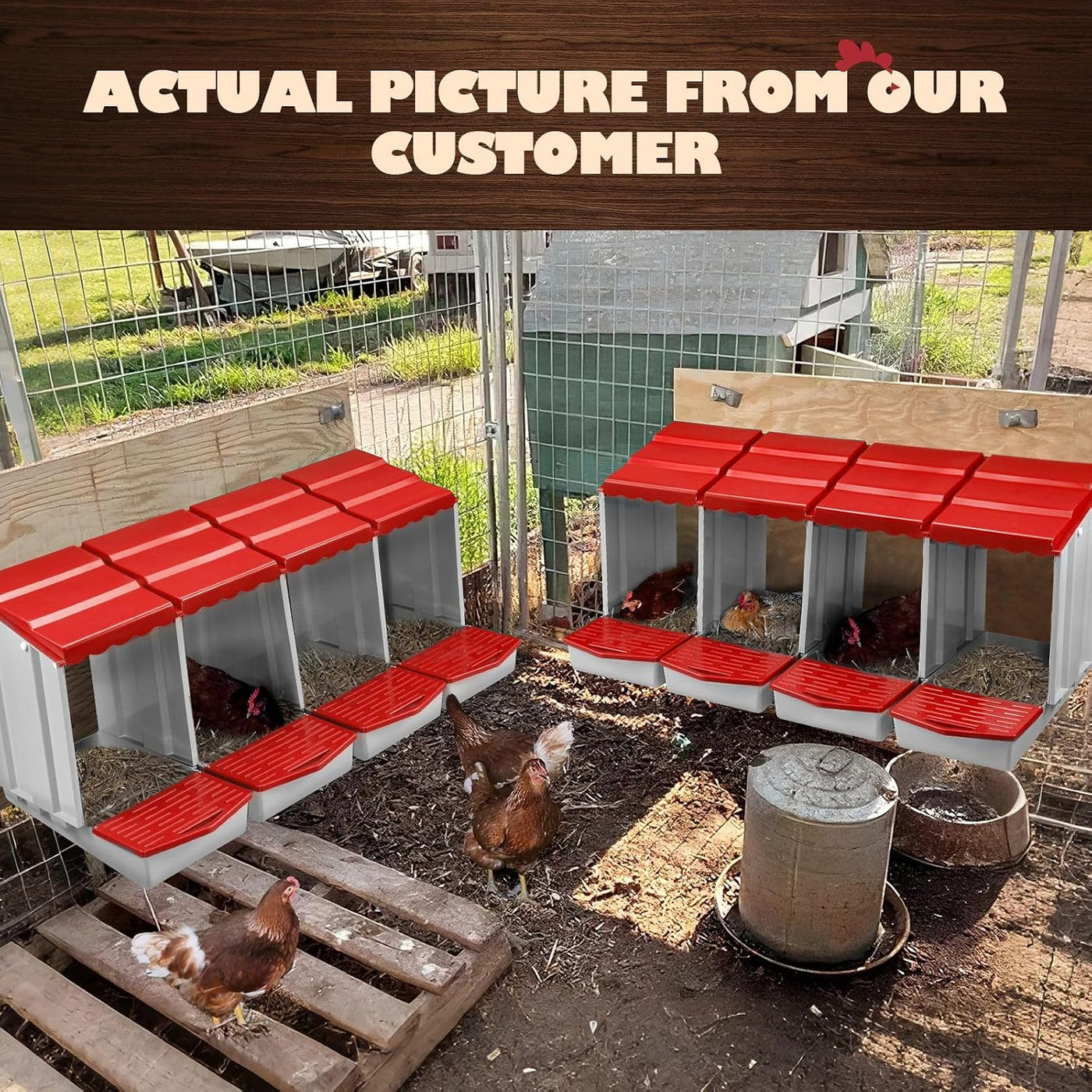 Pet Scene 4-Hole Roll-Away Chicken Nesting Box – Modular Poultry Laying Boxes with Egg Collection