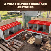 Pet Scene 4-Hole Roll-Away Chicken Nesting Box – Modular Poultry Laying Boxes with Egg Collection