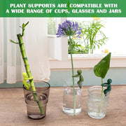 6-Piece Plant Propagation Stem Support Buddies