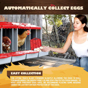 Pet Scene 4-Hole Roll-Away Chicken Nesting Box – Modular Poultry Laying Boxes with Egg Collection