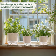 4-Pack 10 cm Self-Watering Plant Pots – Clear