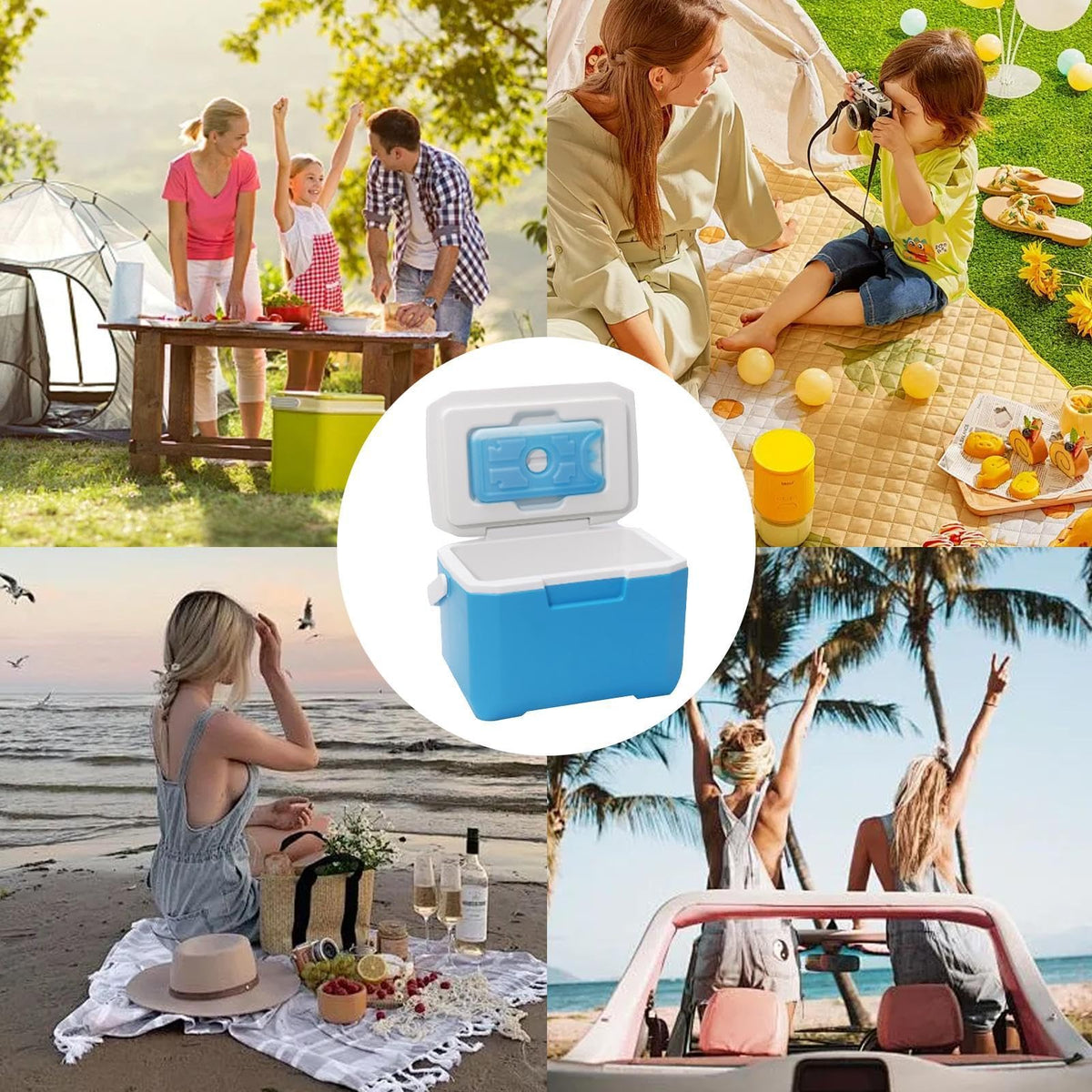 6 L Portable Cooler Box with Carry Handle