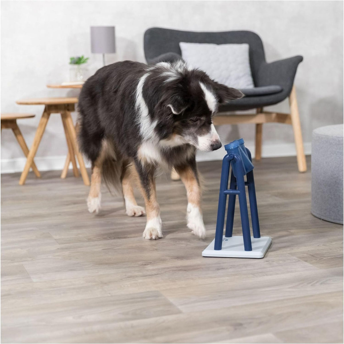 Dog Turn-Around Strategy Activity Game – 22 × 33 × 18 cm