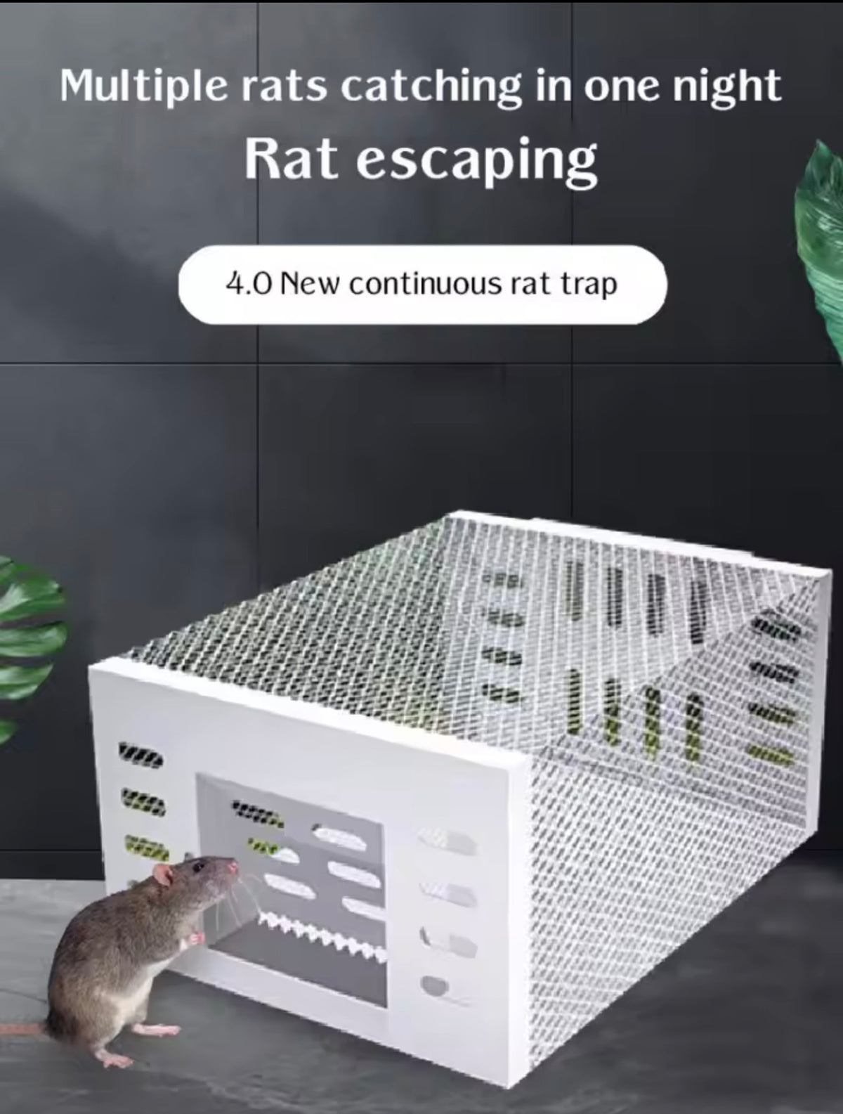 Reusable Semi-Automatic Mouse Trap