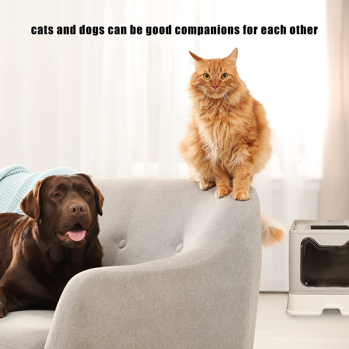 Extra-Large Enclosed Cat Litter Box with Drawer & Scoop
