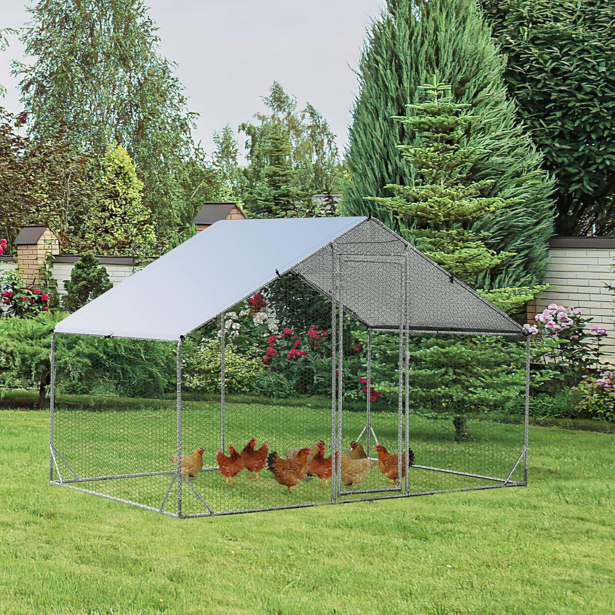 Galvanised Walk-In Poultry Run with Spire Cover – 3 Sizes