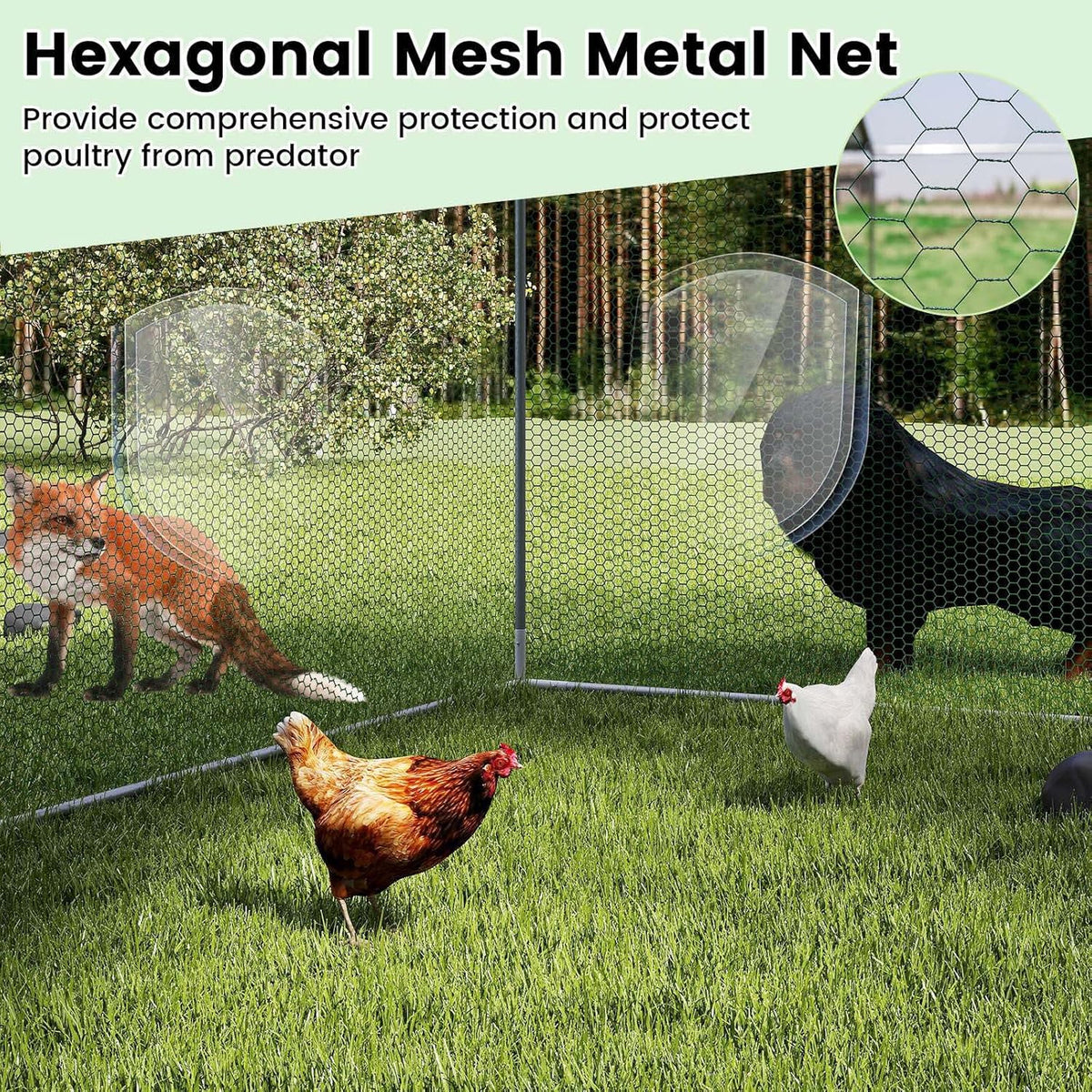 310 × 170 × 190 cm Galvanised Walk-In Poultry Run with Oxford Canopy